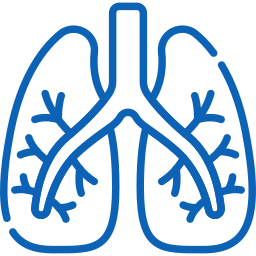 Pulmonary Arterial Hypertension Programs